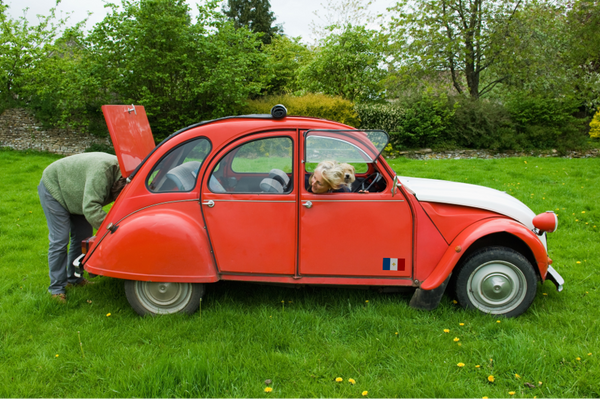 Autocollant France - Lot de 2