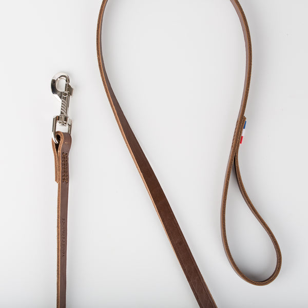 Laisse en cuir pour chien