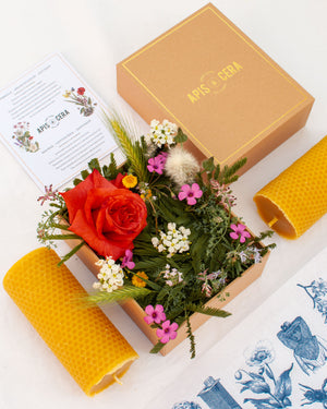 Les 2 bougies Ambroise