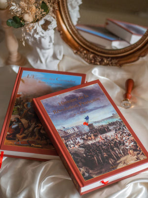 Histoire de la Révolution Française de Mignet — illustration en situation avec un autre volume, édition Terre de France