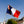 L'authentique drapeau français
