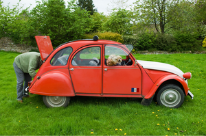 France Sticker - Set of 2