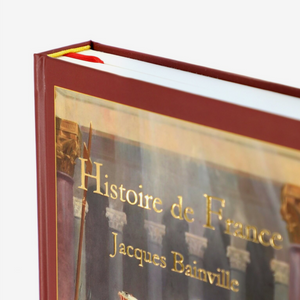 Détail de la couverture du livre Histoire de France – lettres dorées sur fond sombre