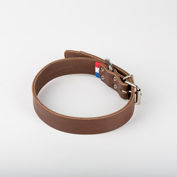 Collier en cuir pour chien