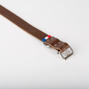 Collier en cuir pour chien