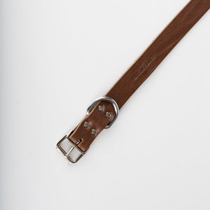 Collier en cuir pour chien