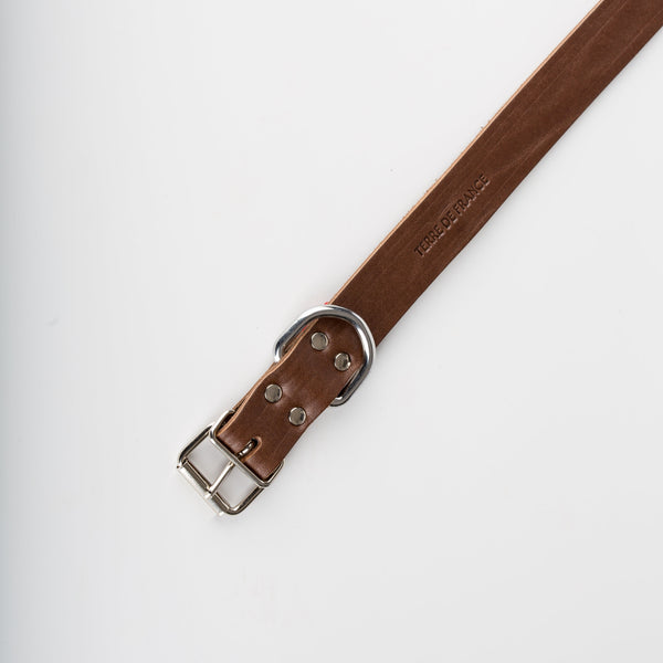 Collier en cuir pour chien