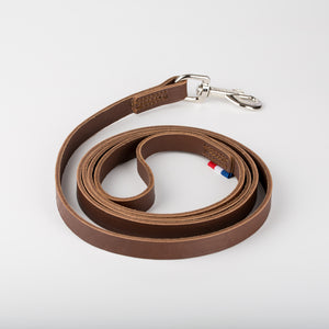 Laisse en cuir pour chien