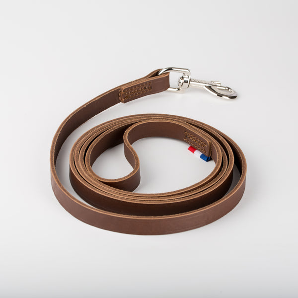 Laisse en cuir pour chien