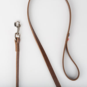Laisse en cuir pour chien