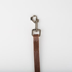 Laisse en cuir pour chien