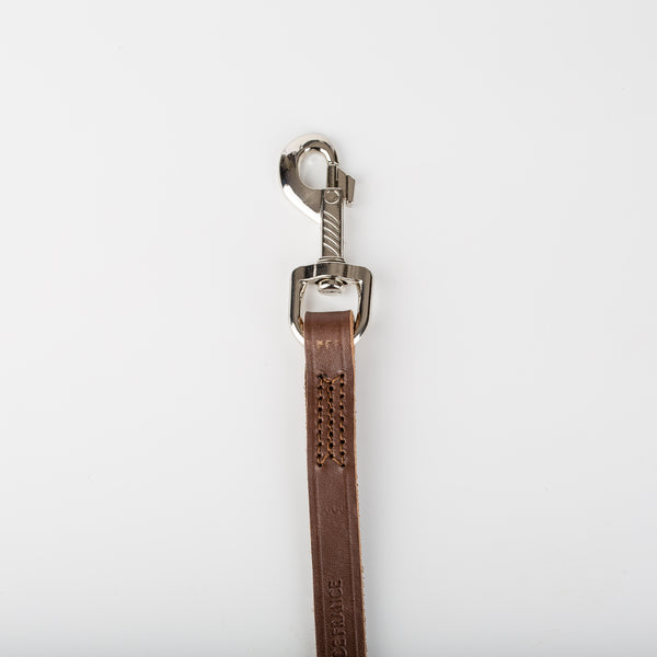 Laisse en cuir pour chien