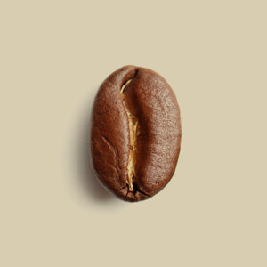 The Coffee Bean
